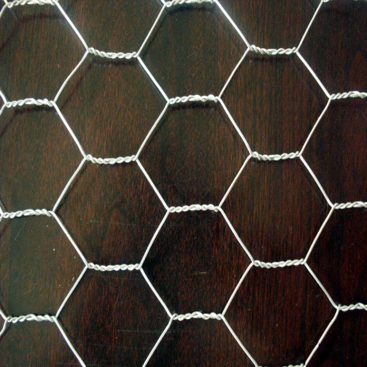1-2-Hot-Dipped-Galvanized-Hexagonal-Chicken (1)